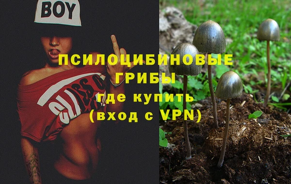 прущая мука Саяногорск
