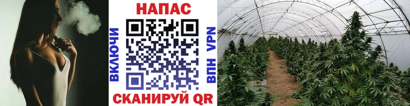 Бошки Шишки тримм  купить наркоту  Беломорск 